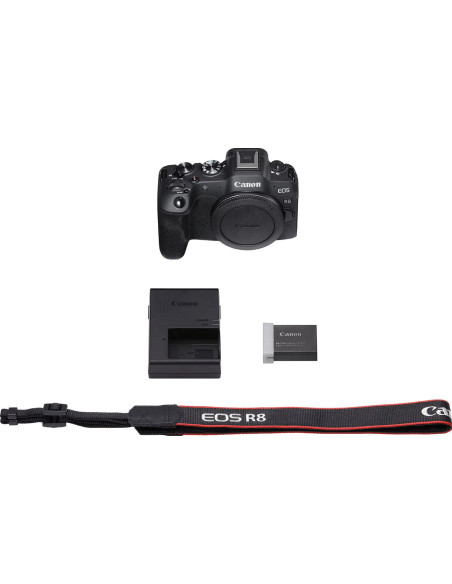 EOS R8 + RF 24-50mm f/4.5-6.3 IS STM